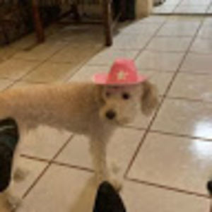 Meet your Posher, Celestina